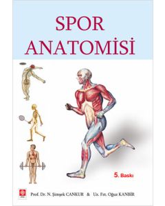 Spor Anatomisi