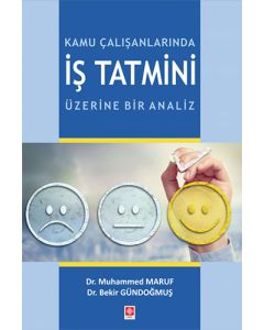 Kamu Çalışanlarında İş Tatmini Üzerine Bir Analiz