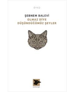 Olmaz Diye Düşündüğümüz Şeyler