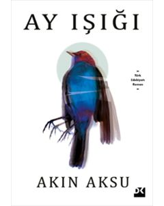 Ay Işığı