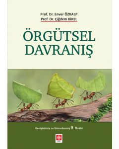 Örgütsel Davranış