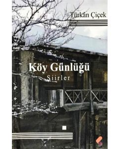 Köy Günlüğü