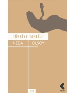 Türkiye Tahlili