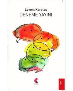 Deneme Yayını