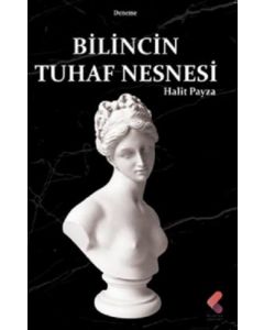 Bilincin Tuhaf Nesnesi
