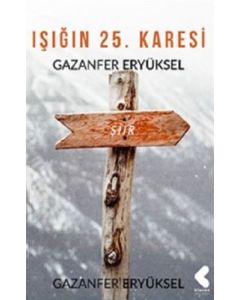 Işığın 25. Karesi