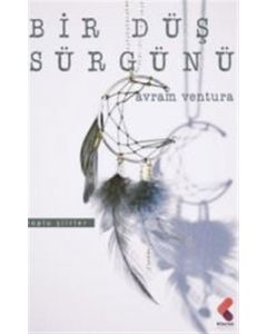 Bir Düş Sürgünü