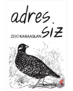 Adressiz