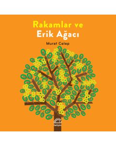 Rakamlar ve Erik Ağacı