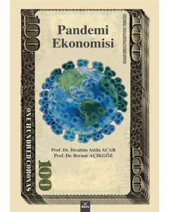 Pandemi Ekonomisi