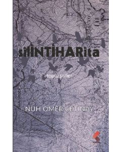 Silinti Harita