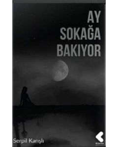 Ay Sokağa Bakıyor
