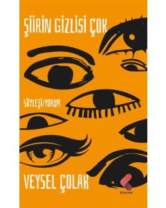 Şiirin Gizlisi Çok