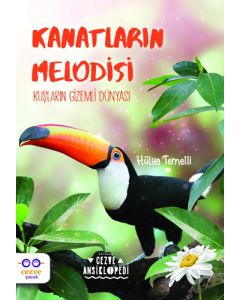 Kanatların Melodisi