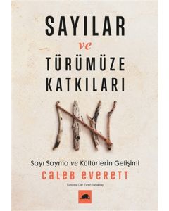 Sayılar ve Türümüze Katkıları