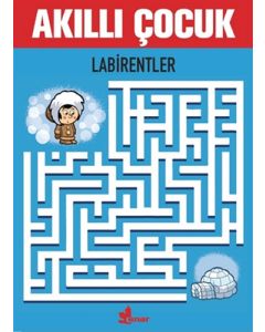 Akıllı Çocuk - Labirentler