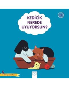 Kedicik Nerede Uyuyorsun? 