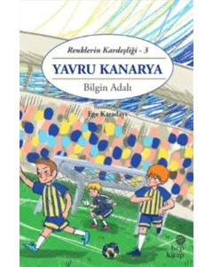 Renklerin Kardeşliği 3 - Yavru Kanarya 