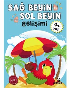 Sağ Beyin - Sol Beyin Gelişimi +4 Yaş