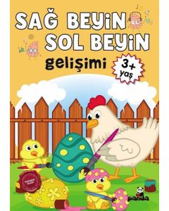 Sağ Beyin - Sol Beyin Gelişimi 3+ Yaş