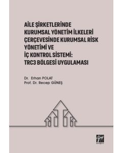 Aile Şirketlerinde Kurumsal Yönetim İlkeleri Çerçevesinde Kurumsal Risk Yönetimi ve İç Kontrol Sistemi: Trc3 Bölgesi Uygulaması
