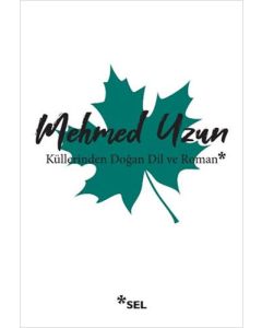 Küllerinden Doğan Dil ve Roman