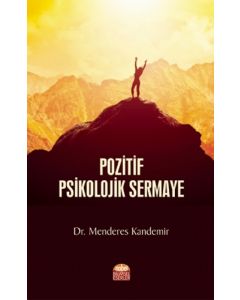 Pozitif Psikolojik Sermaye
