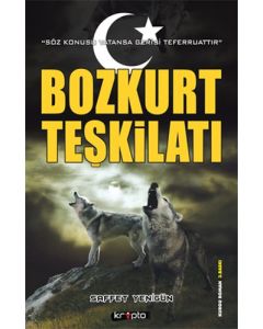 Bozkurt Teşkilatı
