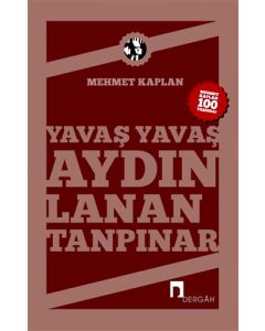 Yavaş Yavaş Aydınlanan Tanpınar
