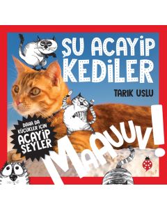 Daha da Küçükler İçin Şu Acayip Kediler
