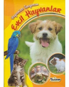 Hayvanları Tanıyorum - Evcil Hayvanlar