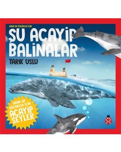  Daha da Küçükler İçin Acayip Şeyler 4 - Daha da Küçükler İçin Şu Acayip Balinalar