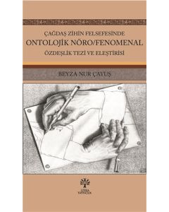Çağdaş Zihin Felsefesinde Ontolojik Nöro/Fenomenal Özdeşlik Tezi ve Eleştirisi