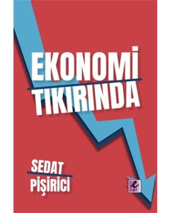 Ekonomi Tıkırında