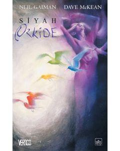Siyah Orkide