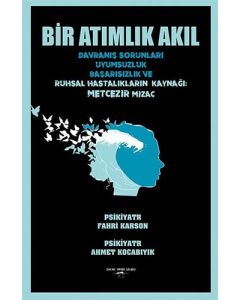 Bir Atımlık Akıl 