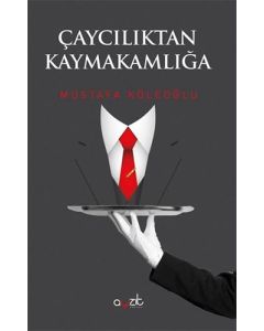 Çaycılıktan Kaymakamlığa