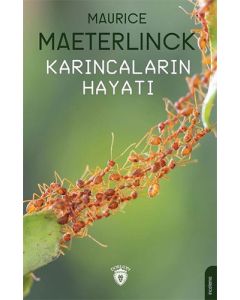 Karıncaların Hayatı