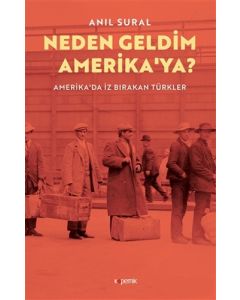 Neden Geldim Amerika’ya?