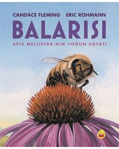Balarısı