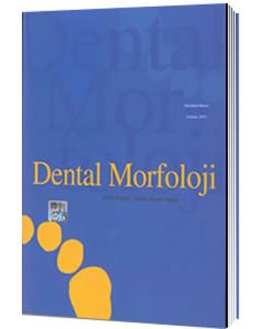 Dental Morfoloji