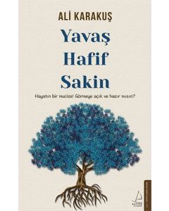 Yavaş Hafif Sakin