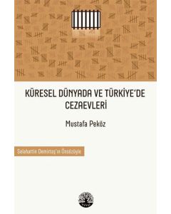Küresel Dünyada ve Türkiye’de Cezaevleri