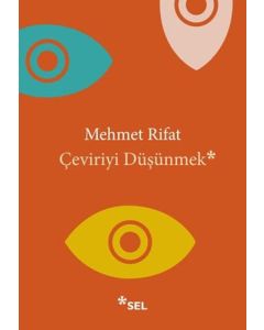 Çeviriyi Düşünmek