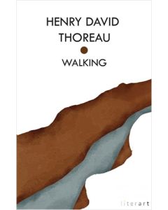Walking