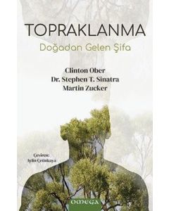 Topraklanma