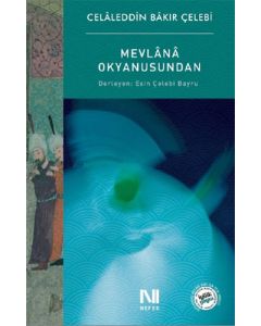 Mevlana Okyanusundan