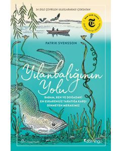 Yılanbalığının Yolu