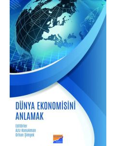 Dünya Ekonomisini Anlamak