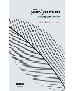 Şiir - Yorum: Şiir Üzerine Yazılar